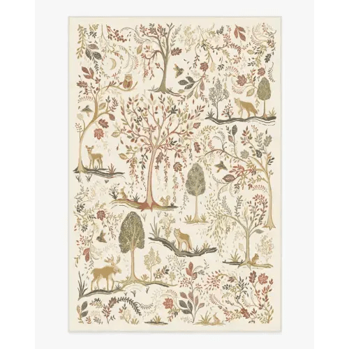 Wilder Cream Multicolor Rug | Ruggable