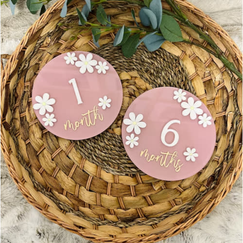 Acrylic Baby Milestone Marker, Baby Milestone Discs, Interchangeable Milestone Card, Baby Photo Prop, Baby’s First Year, Baby Shower Gift