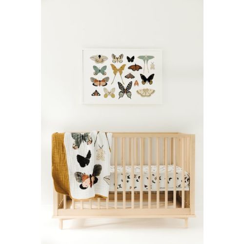 Clementine Kids Crib Sheets (Butterfly)