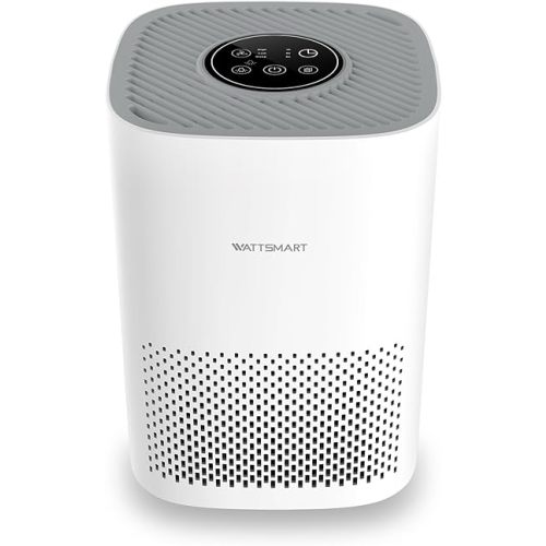Air Purifier for Bedroom - H13 True HEPA Filter for Home Pets Hair, Remove 99.97% Smoke Pollen Dander Dust, Portable Air Cleaner with 22dB Quiet Sleep Mode for Small Place Office, White