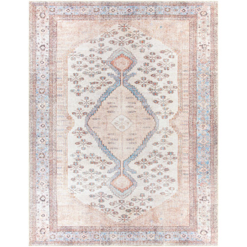 Area Rug- 5 by 7