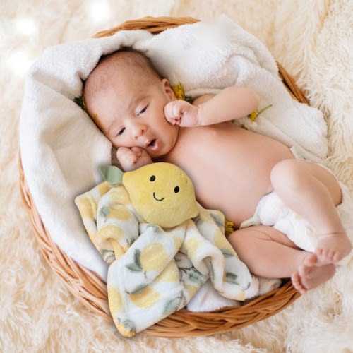 lemon baby girl gift citrus baby blanket personalized lovey soft plush cuddle toy summer baby shower gift sunshine nursery decor yellow frui