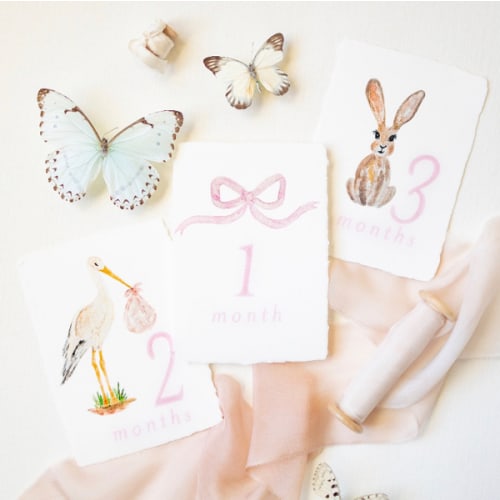 Milestone Cards - Handmade Paper, Pink Stork Set