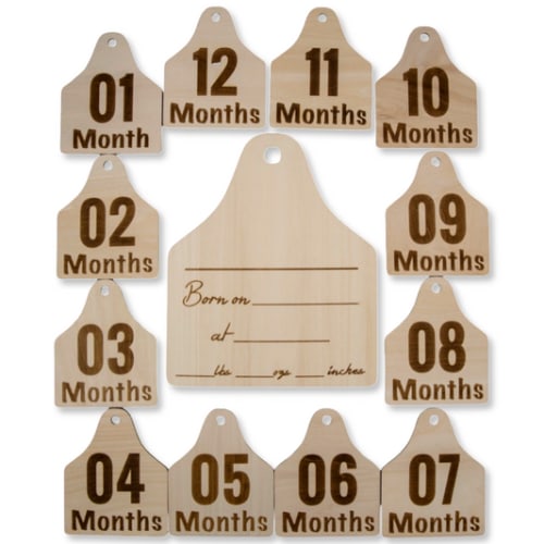 Announcement & Milestone Signs – Cowkid Clothing Company