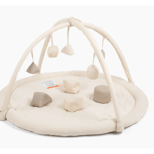 Play Gym