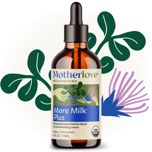 More Milk Plus® Tincture | Motherlove – Motherlove Herbal Company