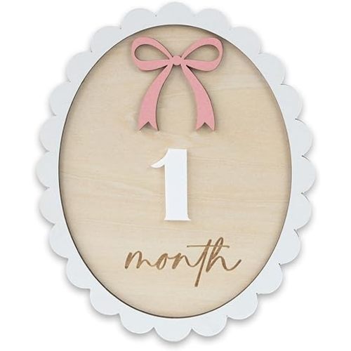 Baby Monthly Milestone, Wooden Baby Milestone Signs, Monthly Milestone Wood Discs, Baby Milestone Discs (Bow)