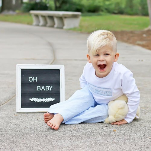Big Brother Smocked Blue Pant Set