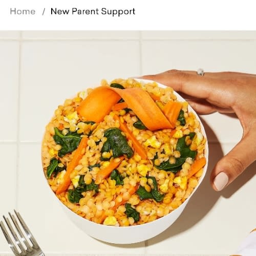New Parent Support