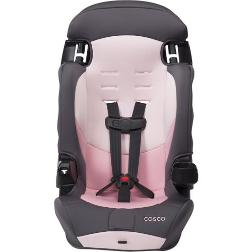 Cosco Kids Finale DX 2-in-1 Booster Car Seat, Forward Facing Toddler Car Seat (30-65 lbs) and Belt Positioning High Back Booster Seat (40-100 lbs), Sweetberry