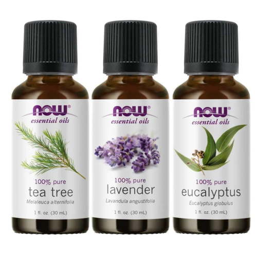 3-Pack Variety of NOW Essential Oils: Tea Tree, Eucalyptus, Lavender