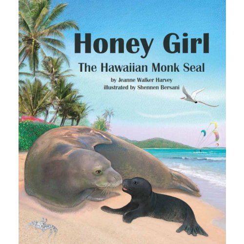 Honey Girl The Hawaiian Monk Seal
