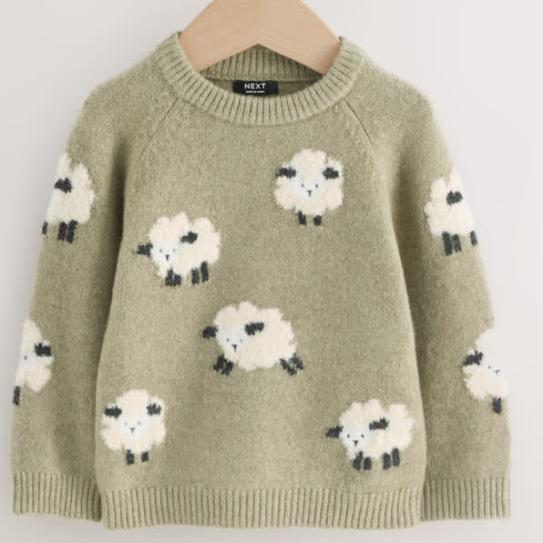 Buy Green Sheep Knitted Crew Neck Jumper (3mths-7yrs) from Next USA