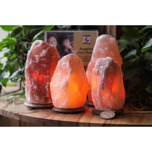 The Himalayan Trading Co.® | Home Of The Original Himalayan Salt Lamps