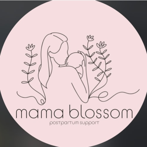 Doula Support Fund
