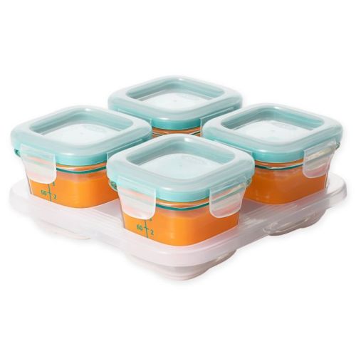 Glass Baby Food Storage Blocks in Teal (Set of 4)