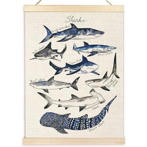 Ecezatik Shark Poster Hanger Frame, Wall Art for Beach Room, Coastal Home Decor, Hanging Decor for Classroom Nursery Boys Room, Gifts for Shark Lovers, 12x16