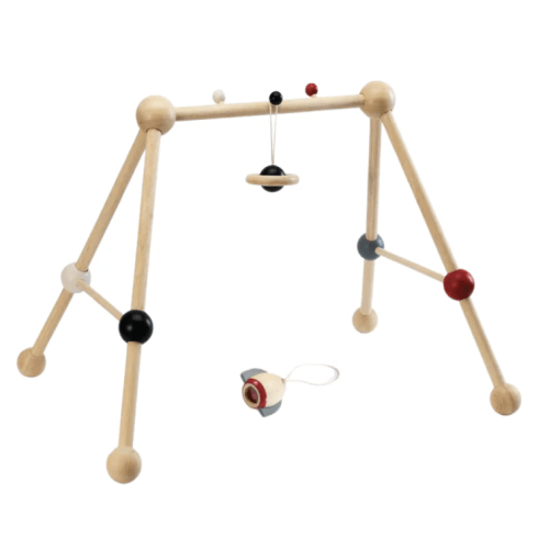 Play Gym