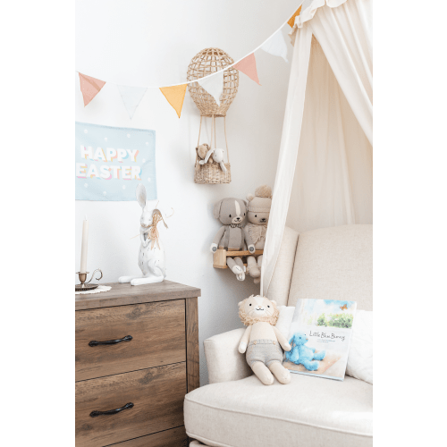 Luna's Lift Air Balloon Decor