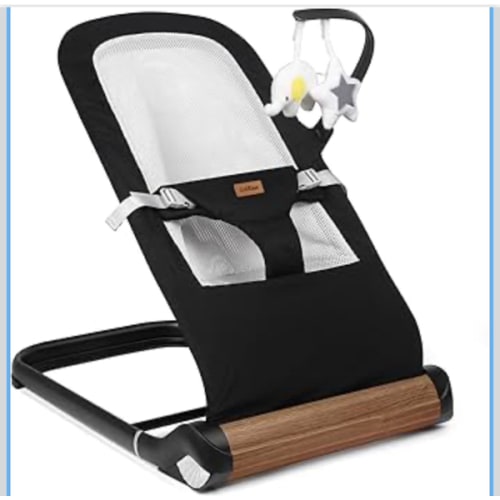 Baby Bouncer Chair - Comfortable Support for Your Little One's Blissful Moments (Net, Black)
