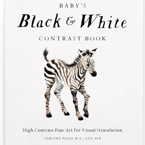 Baby's Black and White Contrast Book: High-Contrast Art for Visual Stimulation at Tummy Time (Our Little Adventures Series)