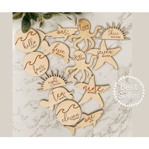 Wooden Monthly Milestone Disc & Sea Animals for Baby Photos - Etsy