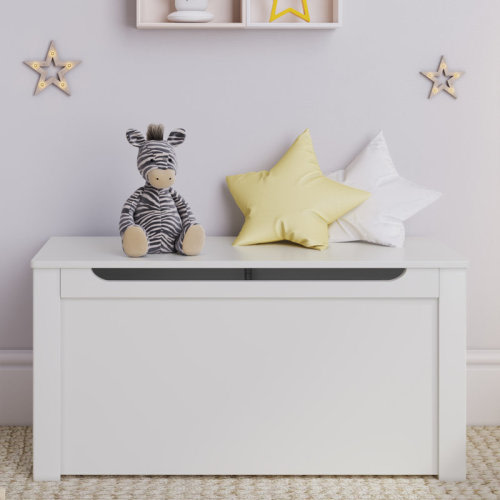 Hokku Designs Kariss Manufactured + Solid Wood Toy Box & Reviews | Wayfair