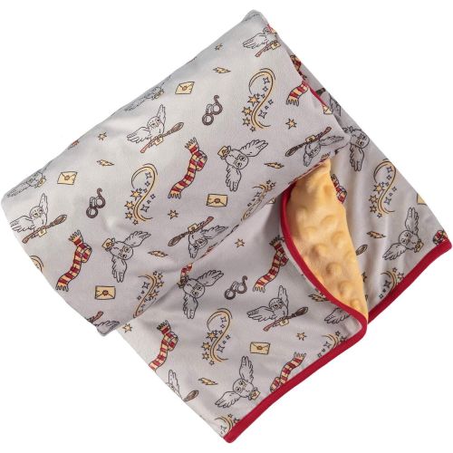 Harry Potter Baby Unisex Plush Polar Fleece 0-12 Months, Grey/Yellow/Re<wbr/>d