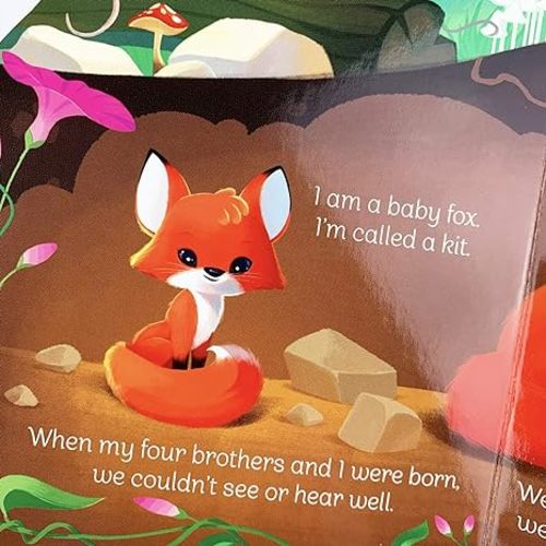 A Little Fox
