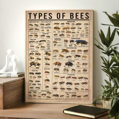 Types Of Bees Vintage Poster, Bee Lover Gift, All About Bee, Vintage Knowledge Poster, Knowledge Art, Home Wall Art, Education Wall Decor