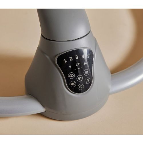 Maxi-Cosi® Baby Cassia Swing