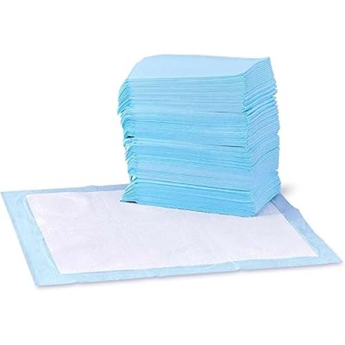 Amazon Basics Dog and Puppy Pee Pads with Leak-Proof Quick-Dry Design for Potty Training, Standard Absorbency, Regular Size, 22 x 22 Inches, Pack of 150, Blue & White