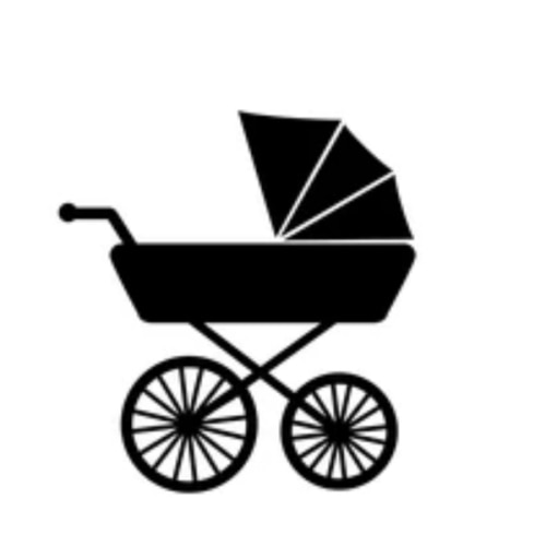Car Seat/ Stroller travel system fund goal $600
