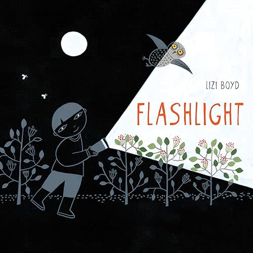 Flashlight: (Picture Books, Wordless Books for Kids, Camping Books for Kids, Bedtime Story Books, Children's Activity Books, Children's Nature Books) Hardcover – Picture Book, August 12, 2014
