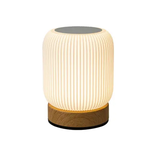Night Light Touch Lamp for Bedrooms Living Room Portable Dimmable 3 Color Temperatures Bedside Lamps Rechargeable Table Lights