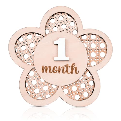 Baby Monthly Milestone, Wooden Baby Milestone Signs, Monthly Milestone Wood Discs, Baby Milestone Discs, Baby Photo Props Cards Interchangeable Number Set of 12 for Baby Growth Recording (Lattice)