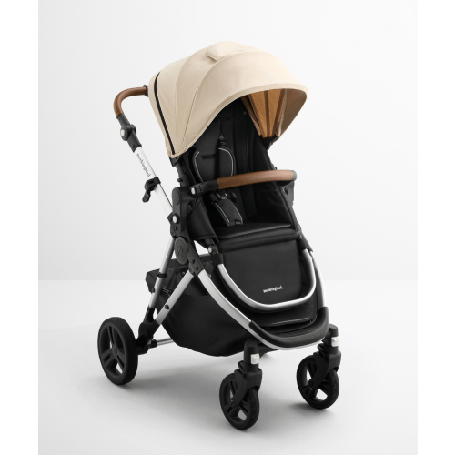 Stroller 3.0