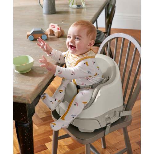 Bug 3-in-1 Floor & Booster Seat with Activity Tray - Clay