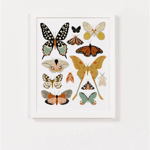 Butterfly Collector Art