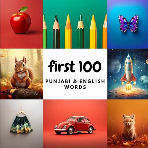 First 100 Punjabi & English Words (Learn Punjabi) Paperback – January 14, 2024