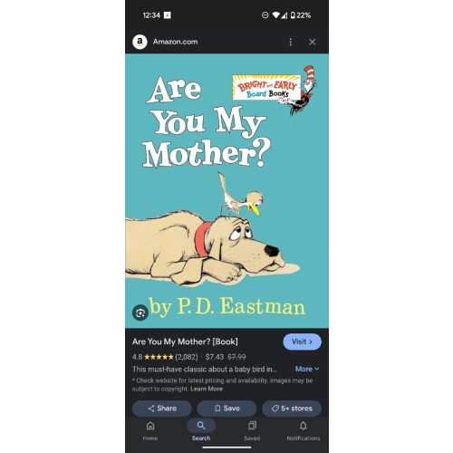 Amazon.com: Are You My Mother? (Big Bright & Early Board Book): 9780553496802: Eastman, P.D.: Books