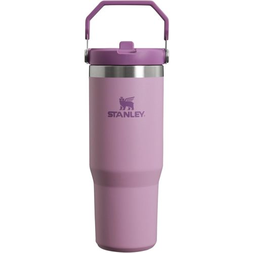 Stanley IceFlow Flip Straw Tumbler with Handle 30 oz | Twist On Lid and Flip Up Straw | Leak Resistant Water Bottle | Insulated Stainless Steel |BPA-Free | Lilac