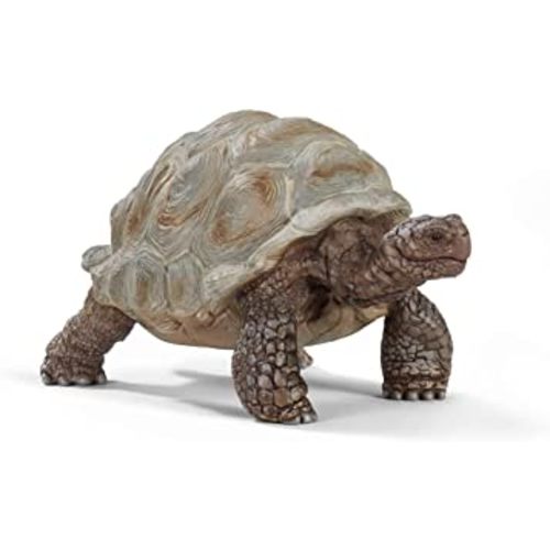 Schleich Wild Life Realistic Exotic Galapagos Giant Tortoise Figurine - Wild Animal Figurine Giant Tortoise Toy for Wildlife Play and Imagination for Toddlers Boys and Girls, Gift for Kids Age 3+