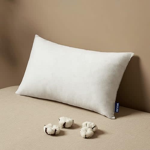 MIULEE Pillow Insert 12x20 Inch, Decorative Rectangle Throw Pillow Insert