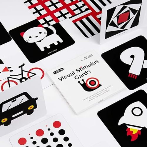 beiens High Contrast Baby Flashcards, Newborn Brain Development Toys, Visual Stimulation Learning Activity Cards, 20 PCs 40 Pages Educational Infants Gift (3-6 Months (Black & White & Color))