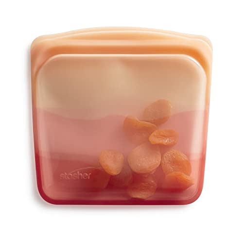 Stasher Premium Silicone Reusable Food Storage Sandwich Bag, Galapagos | Microwave, Sous Vide, Dishwasher, Oven and Freezer Safe | BPA Free, Leak-free, Eco-friendly, 28 Oz