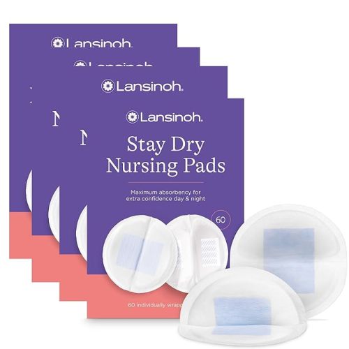Lansinoh Stay Dry Disposable Nursing Pads, Soft and Super Absorbent Breast Pads, Breastfeeding Essentials for Moms, 240 Count - 240 Count (Pack of 4)