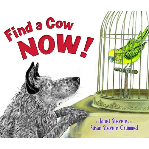 Find a Cow Now!