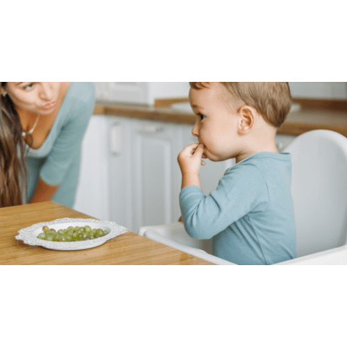 Parent Virtual Certification: Choking and CPR by Shannon Tripp
