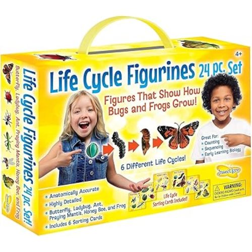 Insect Lore's Life Cycle Figurines 24 Pc Set | Butterfly, Ladybug, Frog, Honey Bee, Ant and Praying Mantis | 4 Stages Per Insect, 24 Figurines Total